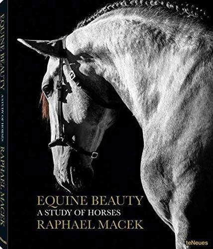 Equine beauty