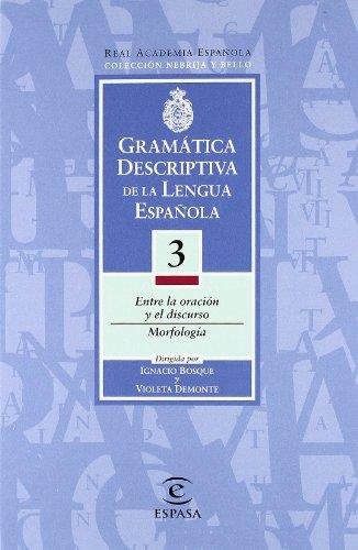 Gramatica descriptiva de la lengua española 3