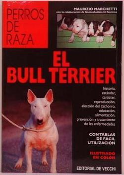 El bull terrier