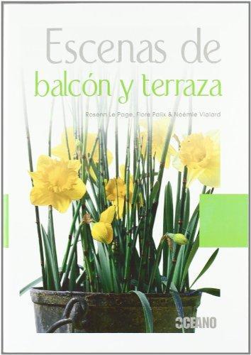 Escenas de balcon y terraza